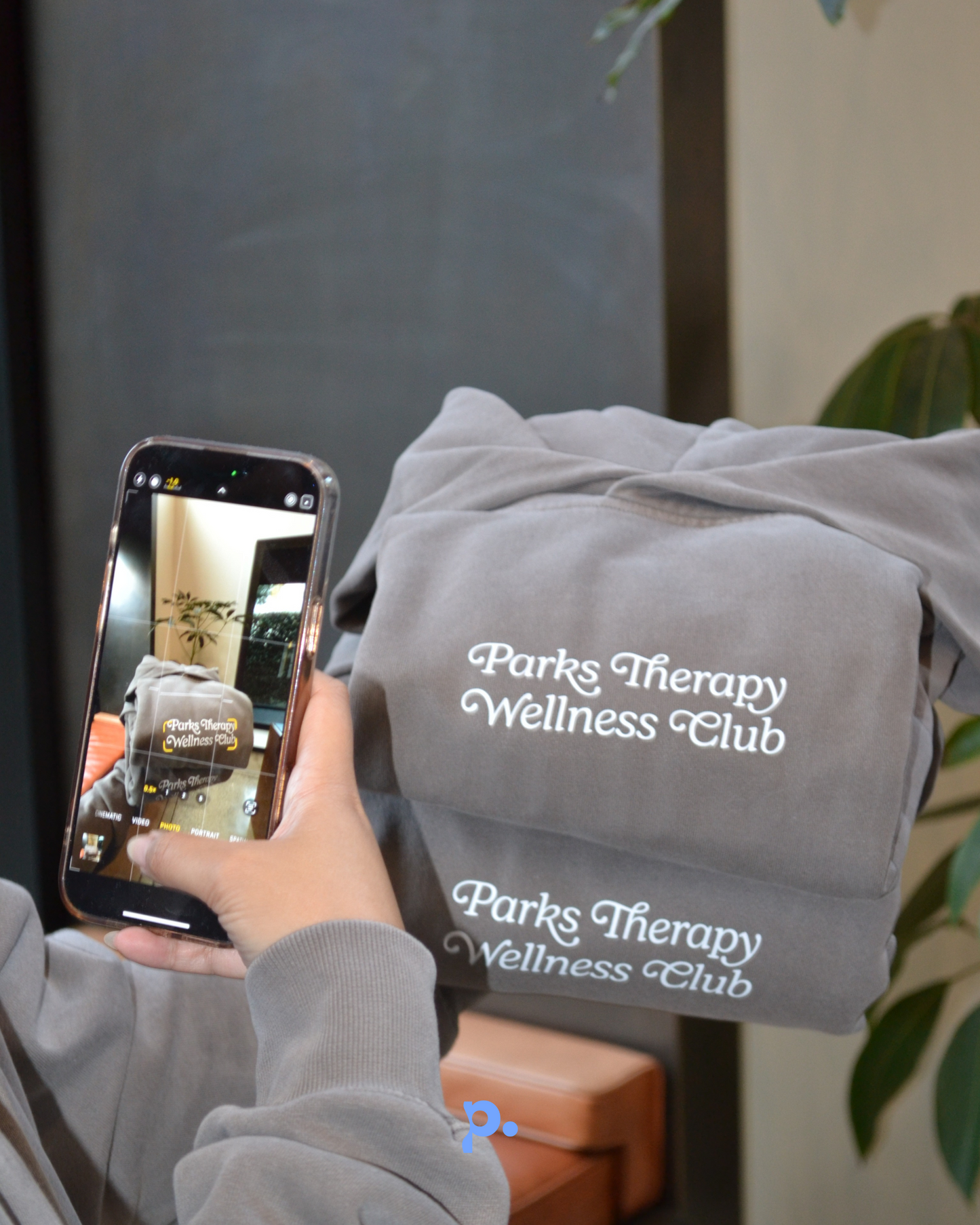 Parks Therapy Hoodie