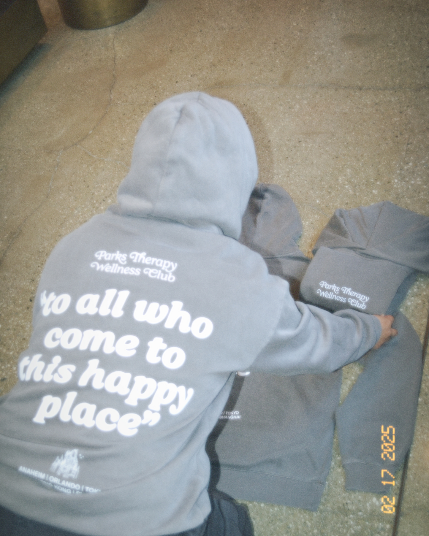 Parks Therapy Hoodie
